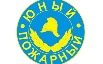 Смотр-конкурс "Лучшая ДЮП"