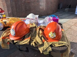 МРО ВДПО - на Фестивале бокса и единоборств
